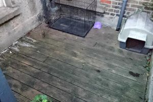 Decking Replacement Dublin Img01