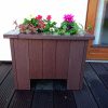 Planter Barna 6