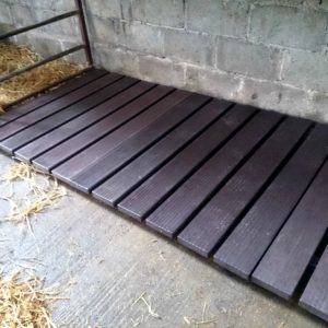 calf slats P3 1024x768