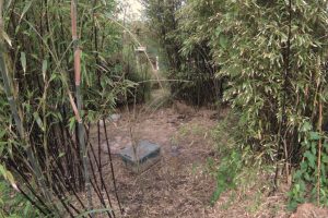 decking cork 1 1024x683