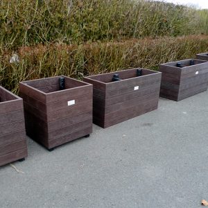 planters bansha