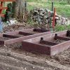 raisedbed5