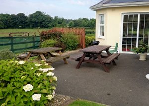 Picnic Table Glencree 7