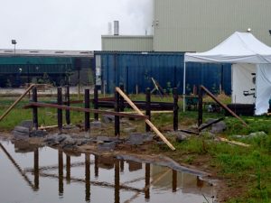 Platform image 51 1024x768