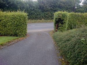 recycled plastic gates photo0