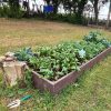 raised bed 360cmA