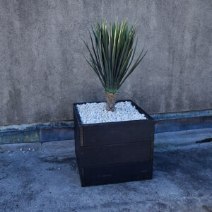 Planters Croom 02