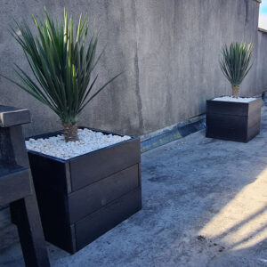 Planters Croom 03