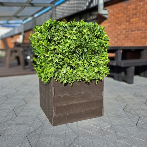 planters bansha 002