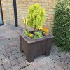 planters barna 001