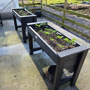 wheelchair raised bed 001