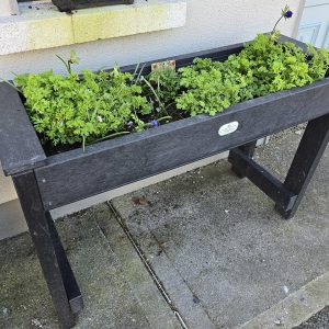 wheelchair raised bed 007